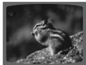 SAMSUNG HT-DS 460 ARG/NOIR - Appuyez rapidement sur I▶▶. - 6