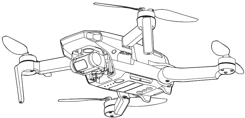 DJI DRONEPAA - 1