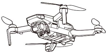 DJI DRONEPAA - MAVIC MINI - 1