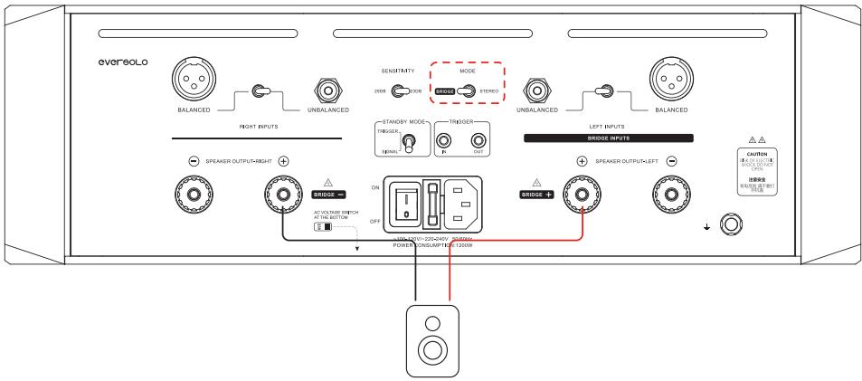 EVERSOLO AMP-F10 - ⑧ 喇叭输出端口 - 2