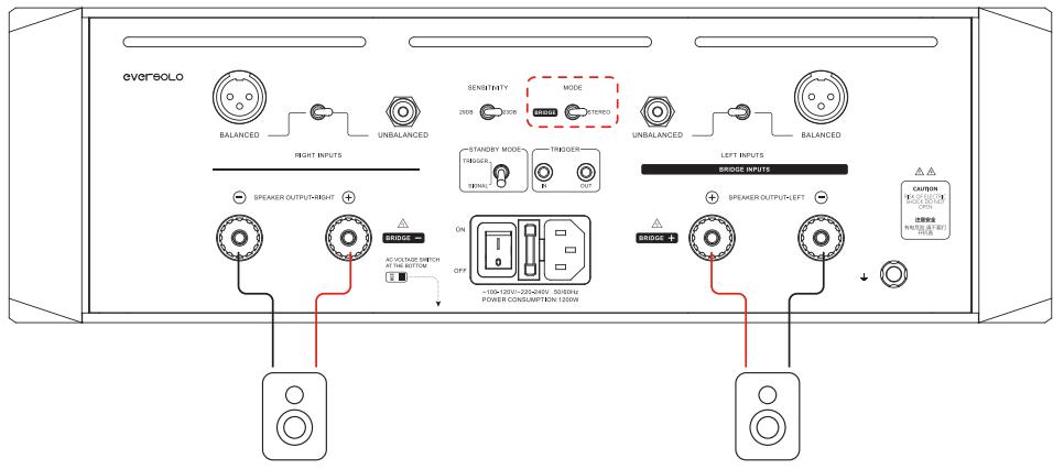 EVERSOLO AMP-F10 - ⑧ 喇叭输出端口 - 1