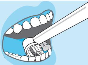 VITALITY 1770 - Internet: - 11