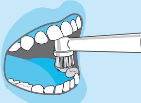 VITALITY 1770 - Internet: - 12