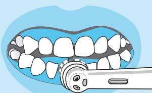 VITALITY 1770 - Internet: - 10