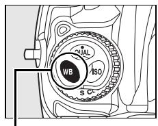 NIKON D300+18/200+MBD10 - Options de balance des blancs - 2