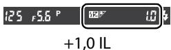 NIKON D300+18/200+MBD10 - Correction du flash - 6