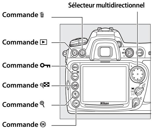 NIKON D300+18/200+MBD10 - Visualisation plein écran - 3