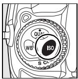 NIKON D300+18/200+MBD10 - ■ Sensibilité ISO - 1