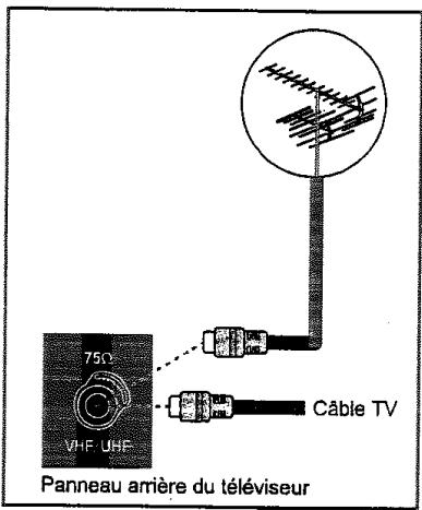 PROLINE TVD 1430 - Branchement de la prise d'antenne - 1
