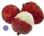 MAGIMIX 18058F - Litchi - 4