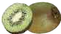 MAGIMIX 18058F - Kiwi - 4