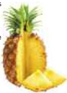 MAGIMIX 18058F - Ananas - 5