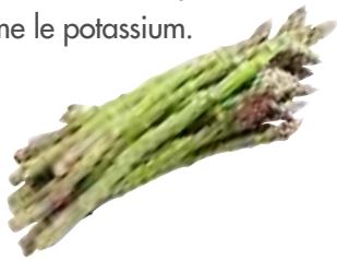MAGIMIX 18058F - Asperges - 1