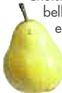 MAGIMIX 18058F - Poire - 6