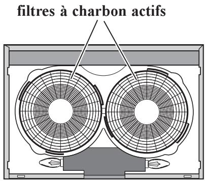 FAURE HES 600 N NOIR - Remplacement de l'ampoule déclairage - 1