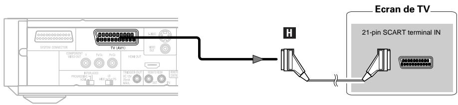 Ecran de TV 21-pin SCART terminal IN