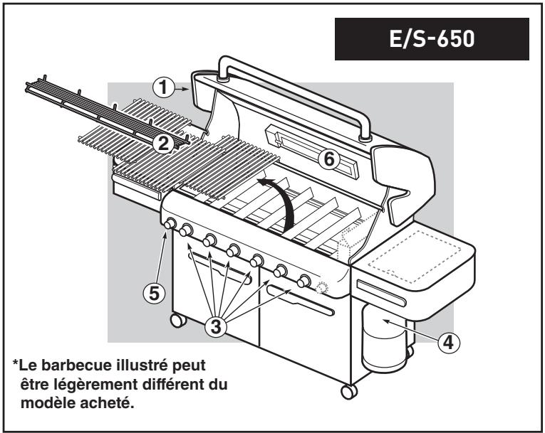 WEBER VSUMMIT S650 INOX - DANGER - 2