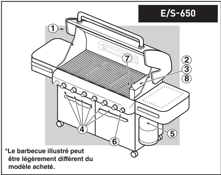 WEBER VSUMMIT S650 INOX - DANGER - 1