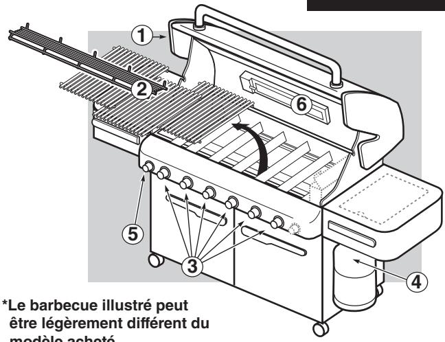 WEBER VSUMMIT S650 INOX - DANGER - 1