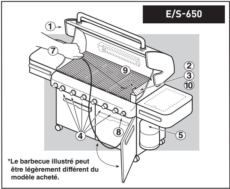 WEBER VSUMMIT S650 INOX - Avertissements - 1