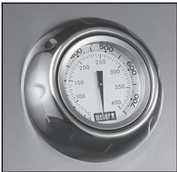 WEBER VSUMMIT S650 INOX - 1