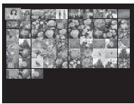 FUJIFILM MXE-2NOiR - Lecture par planche d'images - 8