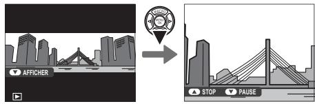 FUJIFILM MXE-2NOiR - Visualisation des panoramiques - 1