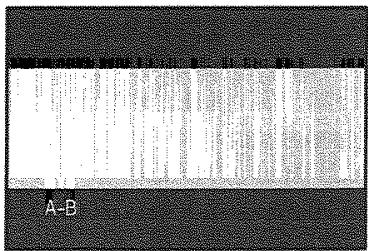 TOSHIBA SD 22 VE - Lecture de répétition A-B - 2