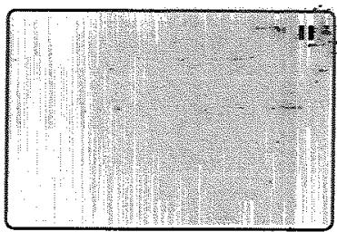 TOSHIBA SD 22 VE - Avance image par image - 2