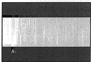 TOSHIBA SD 22 VE - Lecture de répétition A-B - 1