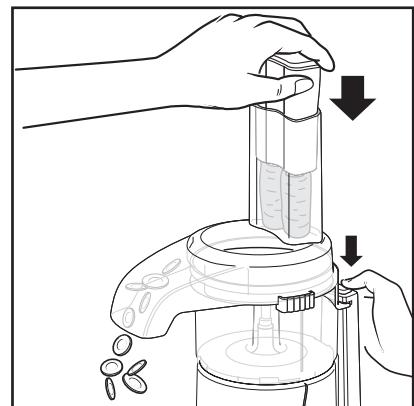 BRANDT HAC 153 ROSE - 7