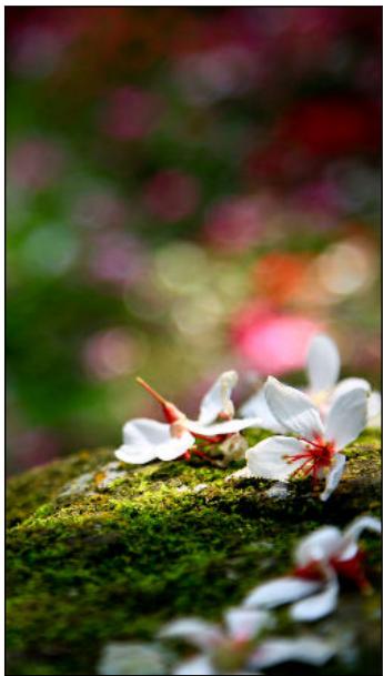 HTC ONE m9+ - Imagerie - 1