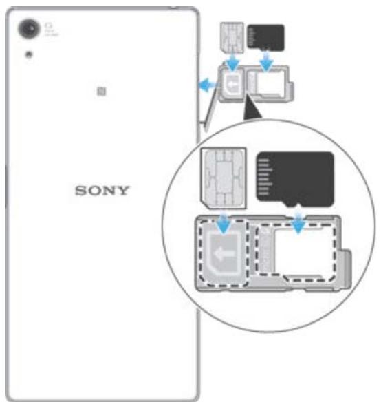SONY