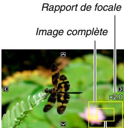 CASIO EX-Z65 - Agrandissement de l'image affichée - 1