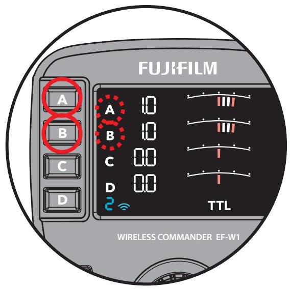 FUJIFILM EF-W1 - Endroits clignotent - 1