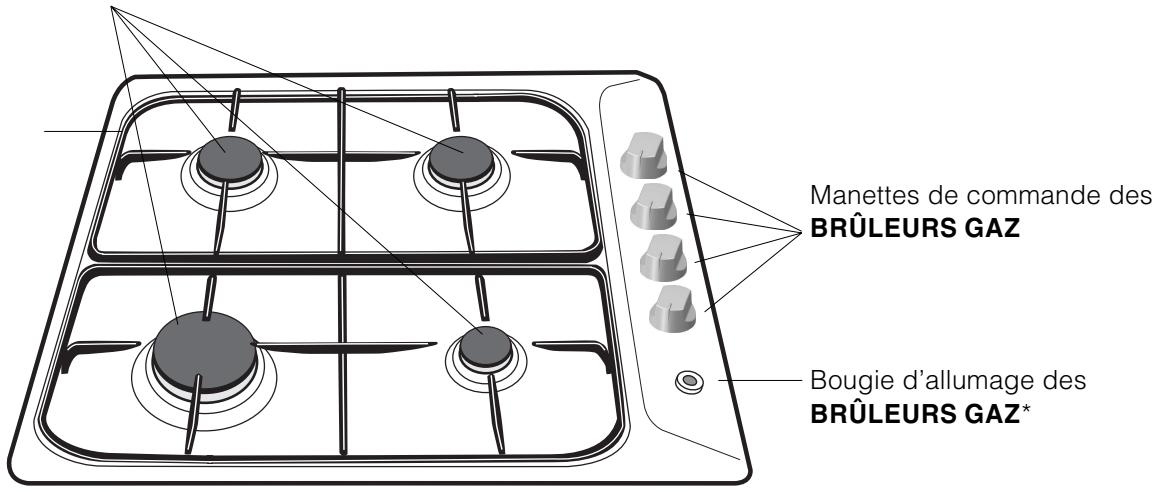 ARISTON PL 640P IX INOX - Vue d'ensemble - 1