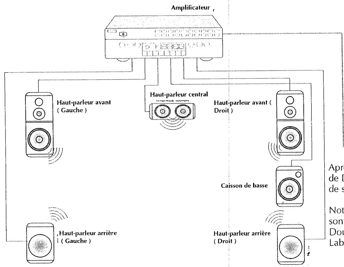 PROLINE TVD 1425 - Raccordement à un amplificateur digital avec un décodeur AC-3 - 1