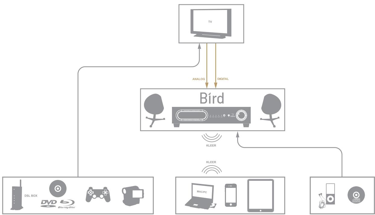 FOCAL BIRD PACK 2.1 WHITE - Options - 3