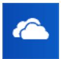 MICROSOFT W5Y-00003 - Conseils - 1