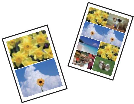 EPSON XP-6005 - Impression de différentes dispositions - 1
