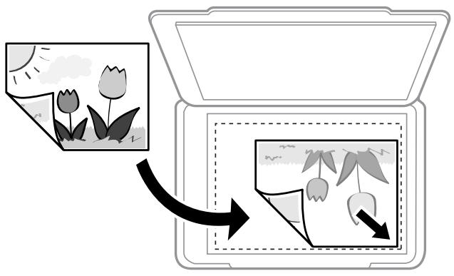 EPSON XP-6005 - Important: - 2