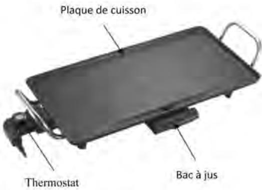 PROLINE PLA2000Cc - DESCRIPTION - 1