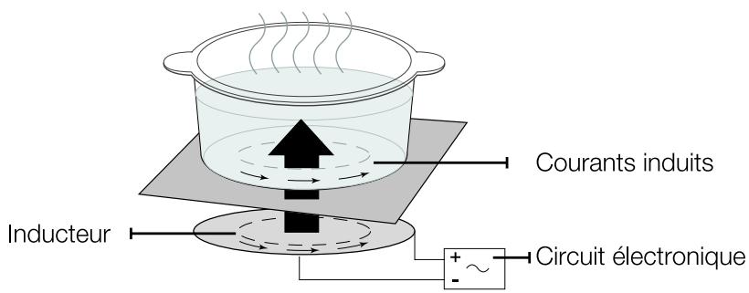 SAMSUNG Z63M3NM1BB/UR - Chauffage à induction - 1