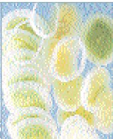MAGIMIX 18426F/430 CS 4200BLC - ATTENTION - 6