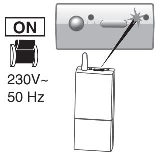 SOWEEREFERENCE 4385870mf - sowee - 1