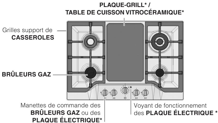 SCHOLTES T6641 ANTHRACITE - Vue d'ensemble - 2