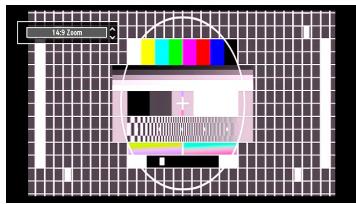 BRANDT B2213D - Zoom 14:9 - 1