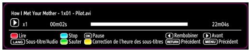 BRANDT B2213D - Lecture de medias via navigateur média - 3
