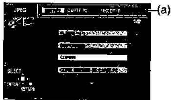 PANASONIC DMR-HS2 - Copier - 2