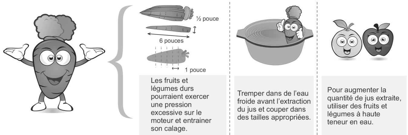 DEJELIN 100 - Ajuster la quantité de PULPE dans le JUS - 1